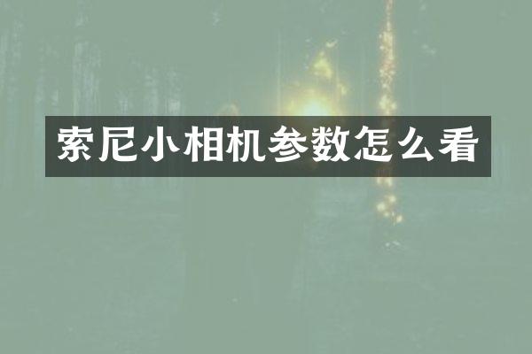 索尼小相机参数怎么看