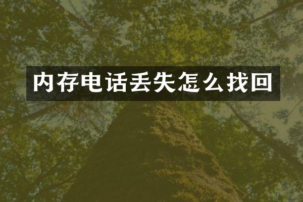 内存电话丢失怎么找回