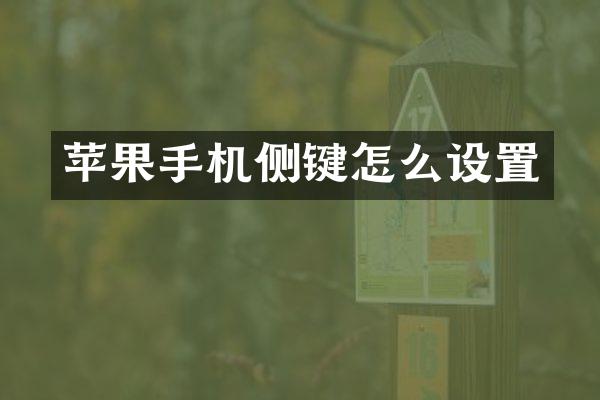 苹果手机侧键怎么设置