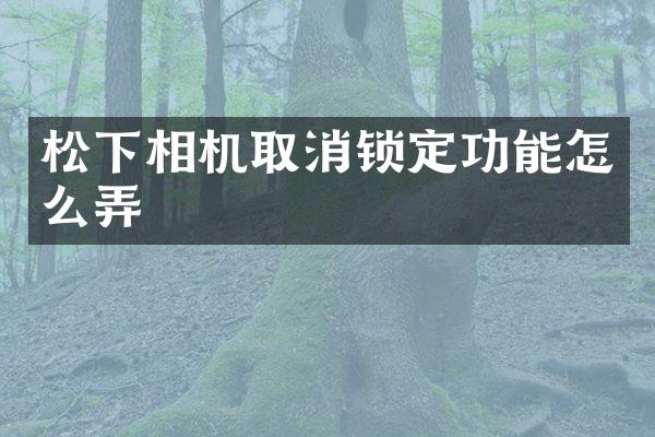 松下相机取消锁定功能怎么弄