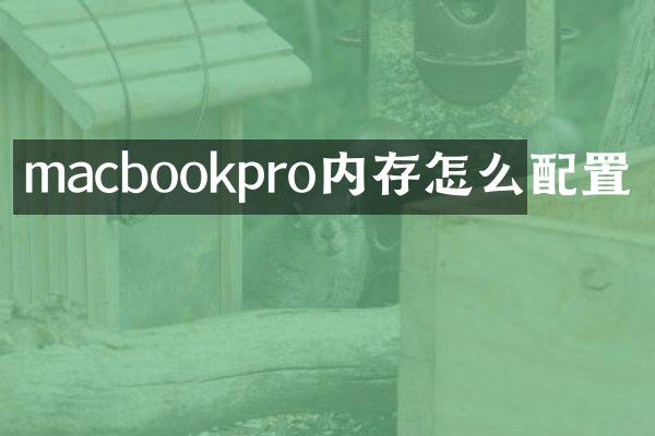 macbookpro内存怎么配置