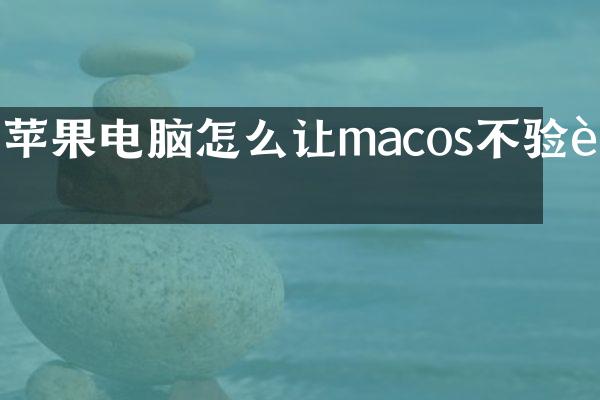 苹果电脑怎么让macos不验证