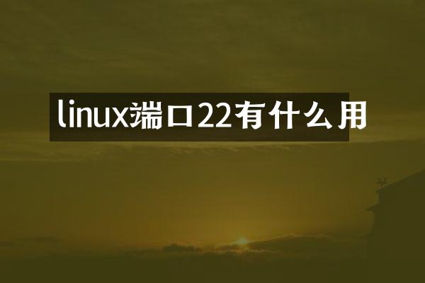 linux端口22有什么用