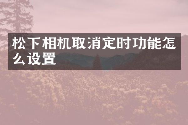 松下相机取消定时功能怎么设置