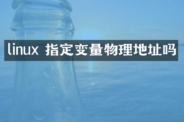 linux 指定变量物理地址吗