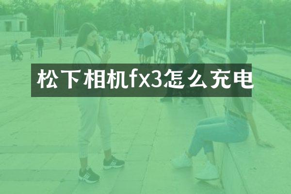 松下相机fx3怎么充电