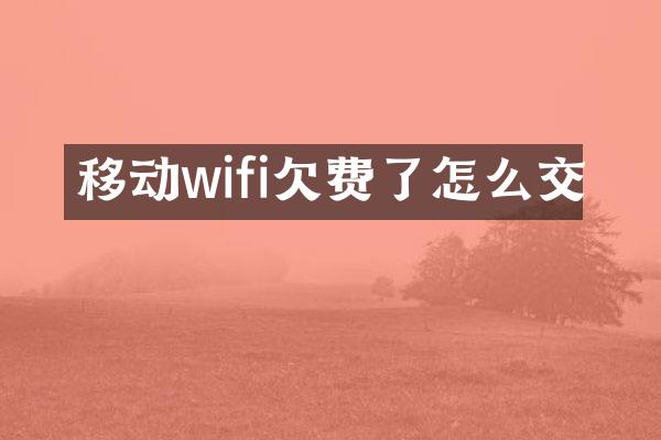移动wifi欠费了怎么交