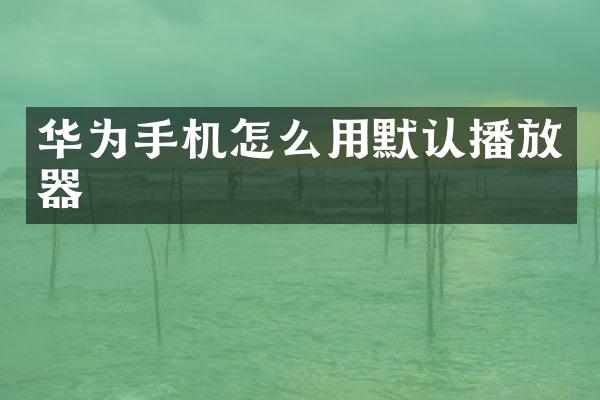 华为手机怎么用默认播放器