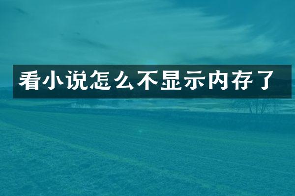 看小说怎么不显示内存了