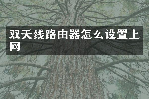 双天线路由器怎么设置上网