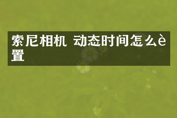 索尼相机 动态时间怎么设置