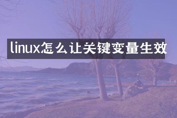 linux怎么让关键变量生效