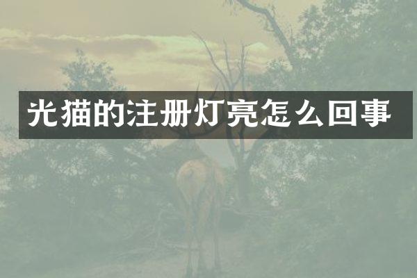 光猫的注册灯亮怎么回事