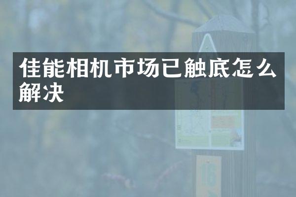 佳能相机市场已触底怎么解决