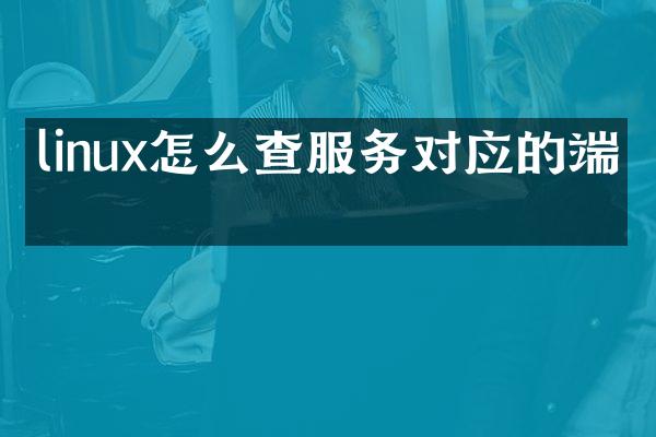 linux怎么查服务对应的端口