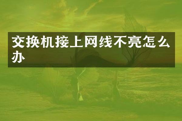 交换机接上网线不亮怎么办