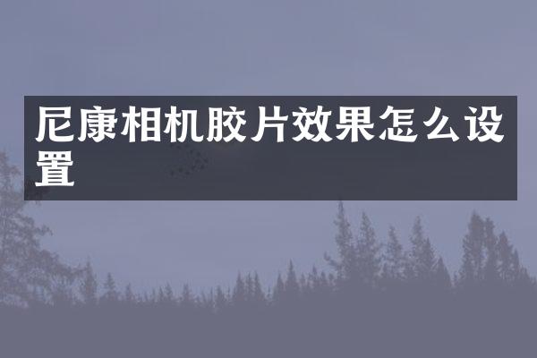 尼康相机胶片效果怎么设置