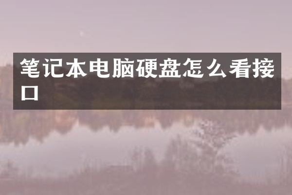 笔记本电脑硬盘怎么看接口