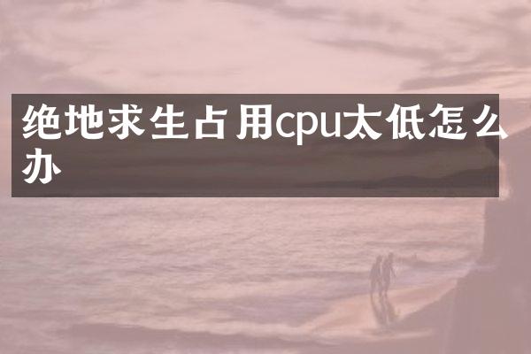 绝地求生占用cpu太低怎么办