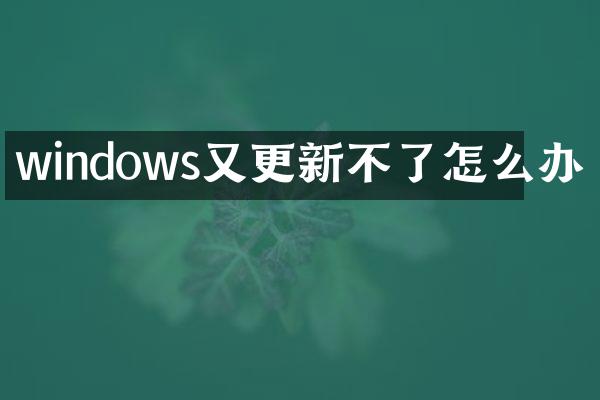 windows又更新不了怎么办
