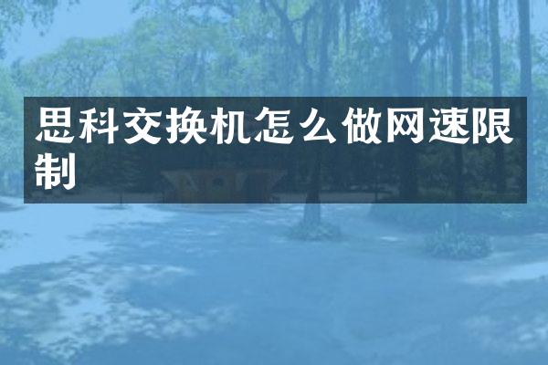 思科交换机怎么做网速限制