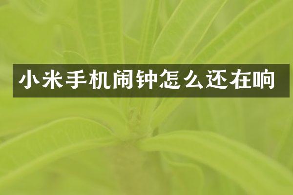 小米手机闹钟怎么还在响