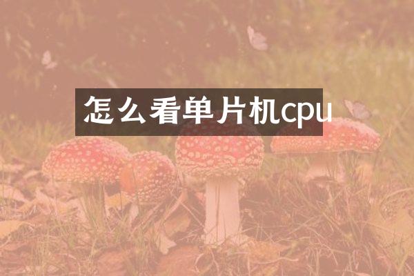 怎么看单片机cpu