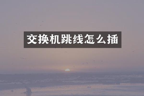 交换机跳线怎么插