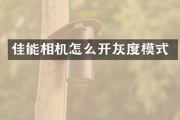 佳能相机怎么开灰度模式
