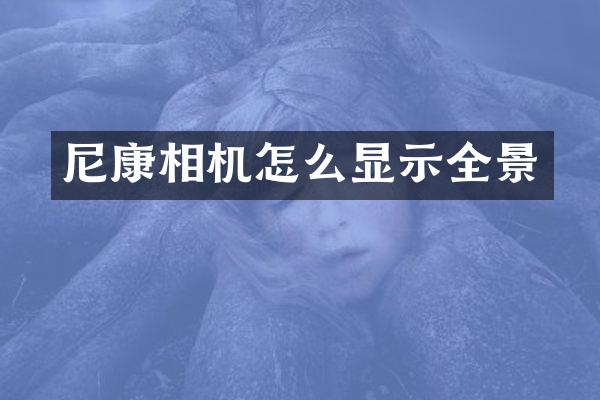 尼康相机怎么显示全景