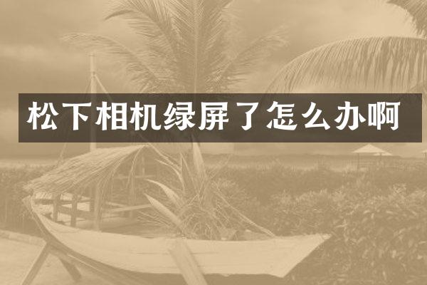 松下相机绿屏了怎么办啊