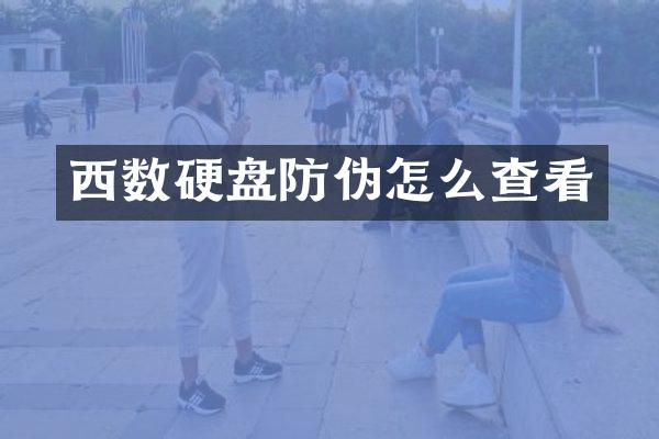 西数硬盘防伪怎么查看