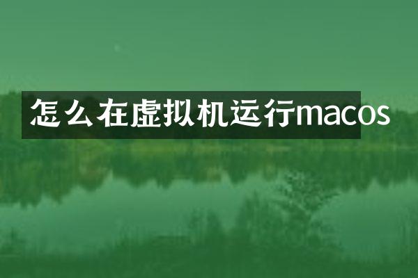 怎么在虚拟机运行macos