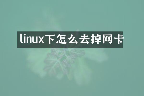 linux下怎么去掉网卡