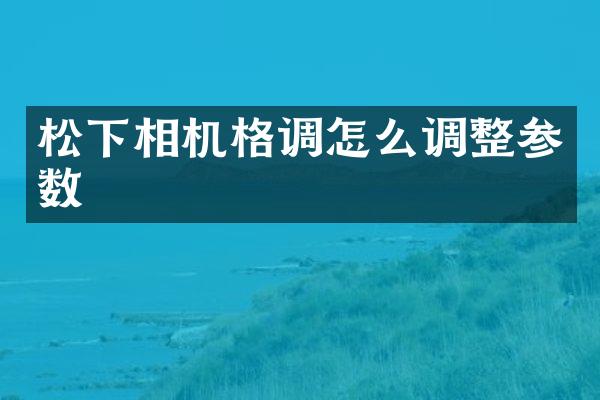 松下相机格调怎么调整参数