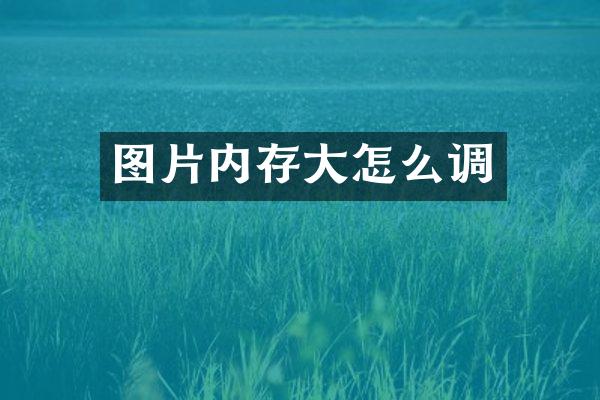 图片内存大怎么调