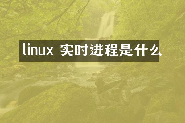 linux 实时进程是什么