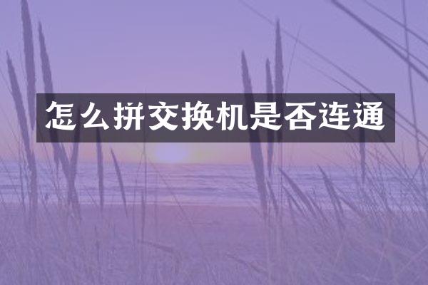 怎么拼交换机是否连通
