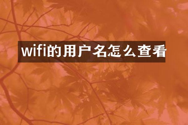wifi的用户名怎么查看