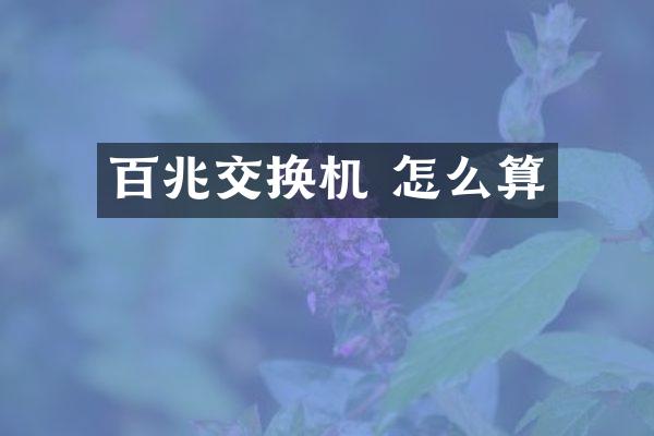 百兆交换机 怎么算