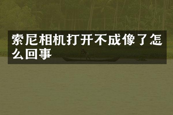 索尼相机打开不成像了怎么回事