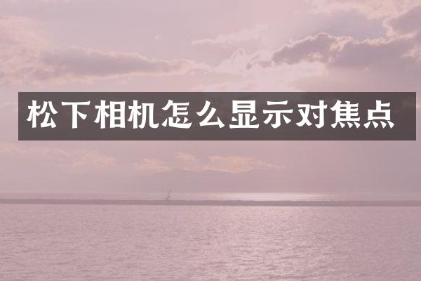 松下相机怎么显示对焦点