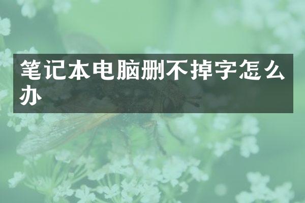 笔记本电脑删不掉字怎么办