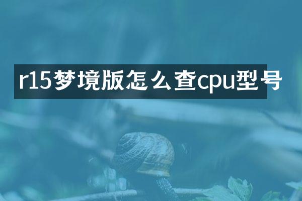 r15梦境版怎么查cpu型号