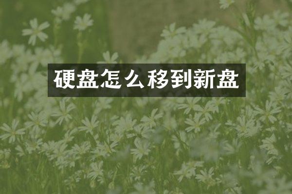 硬盘怎么移到新盘