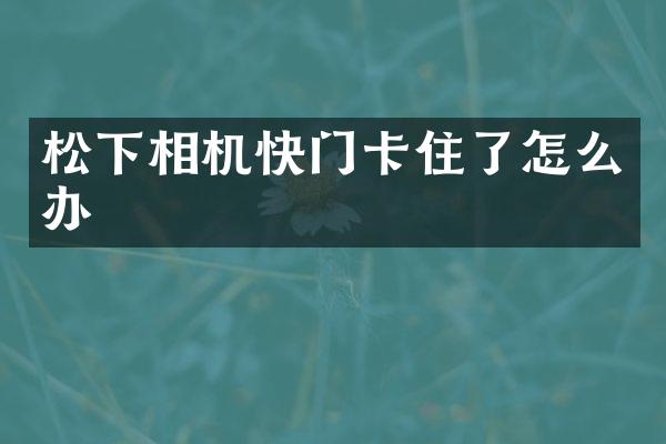 松下相机快门卡住了怎么办