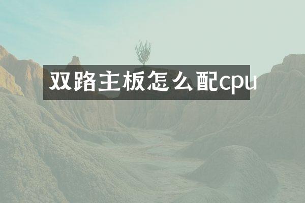 双路主板怎么配cpu