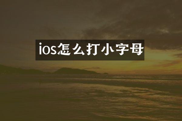 ios怎么打小字母