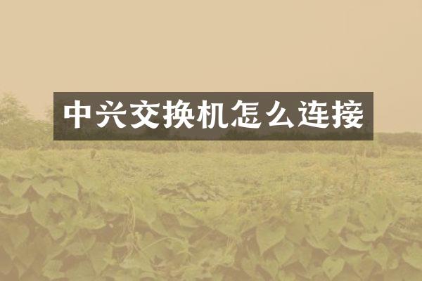 中兴交换机怎么连接