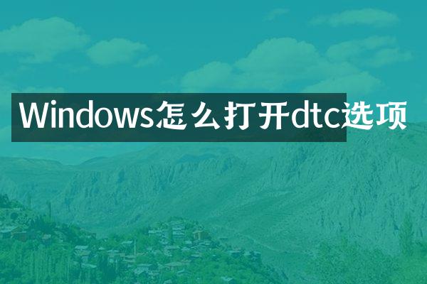 Windows怎么打开dtc选项